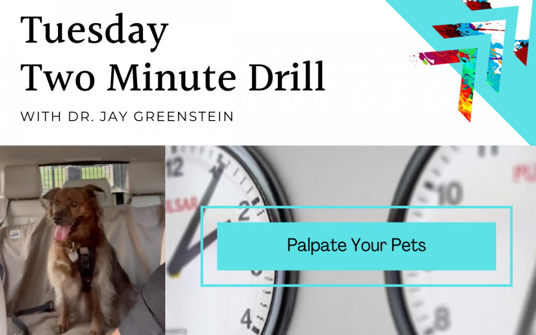 TMD: Palpate Your Pets